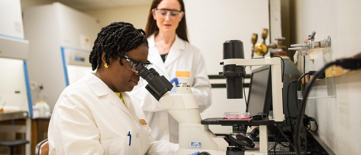 two students in white lab coats using microscopes and other lab equipment